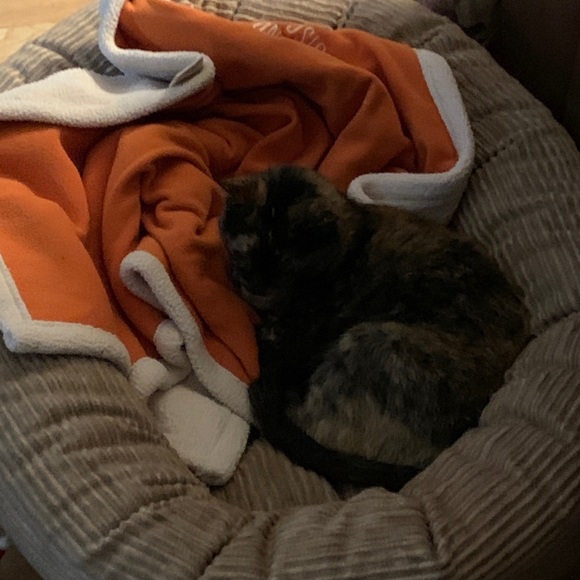 Meet your Posher, Alyssa - Picture 1 of 1